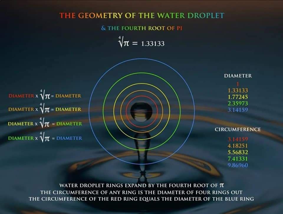 Water ripple spreading outward